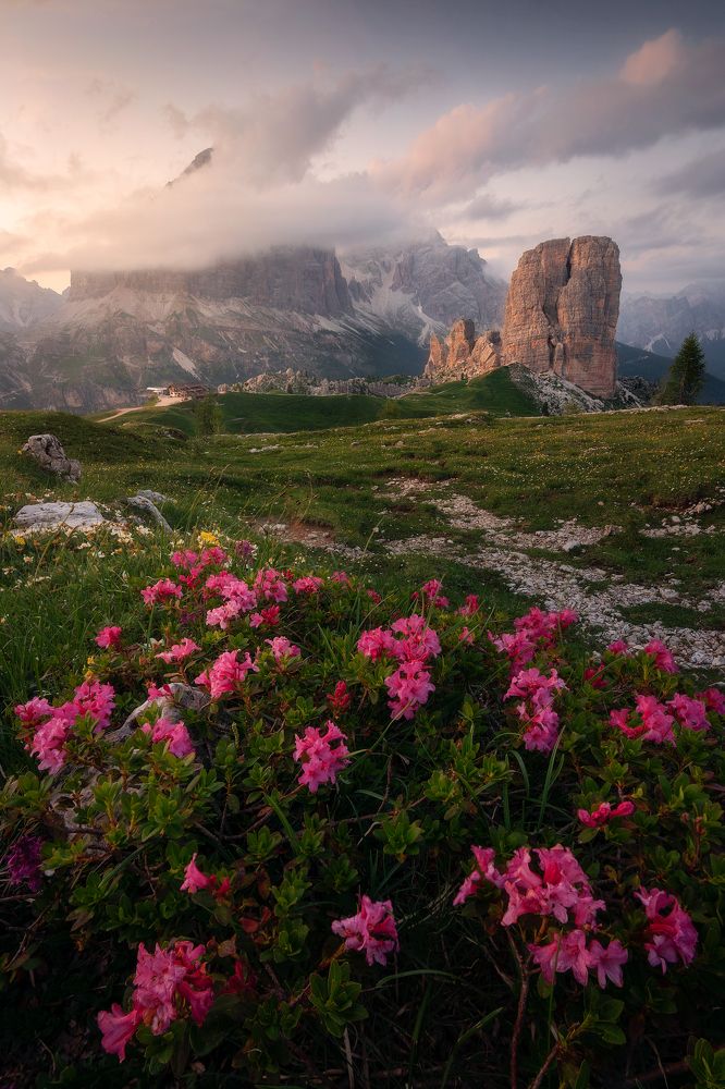 Photograph by Francesco Turra