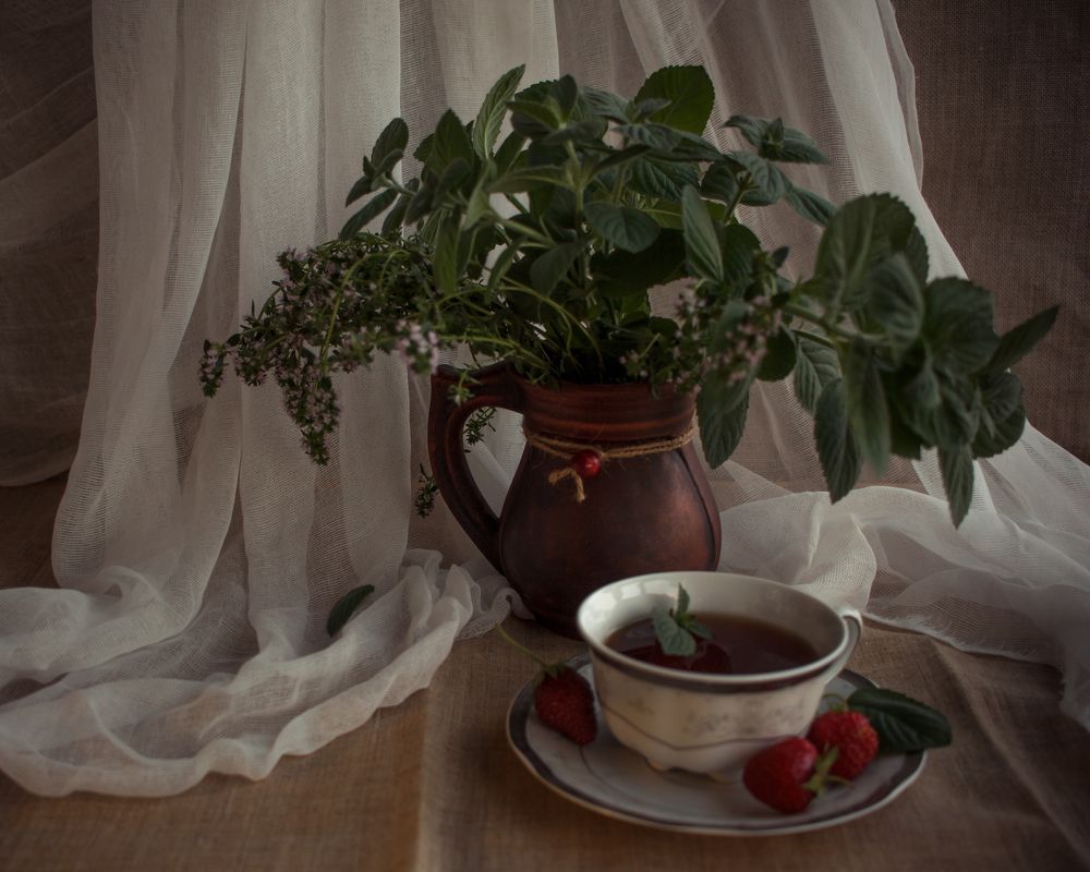 Photograph by Natalia Shilova