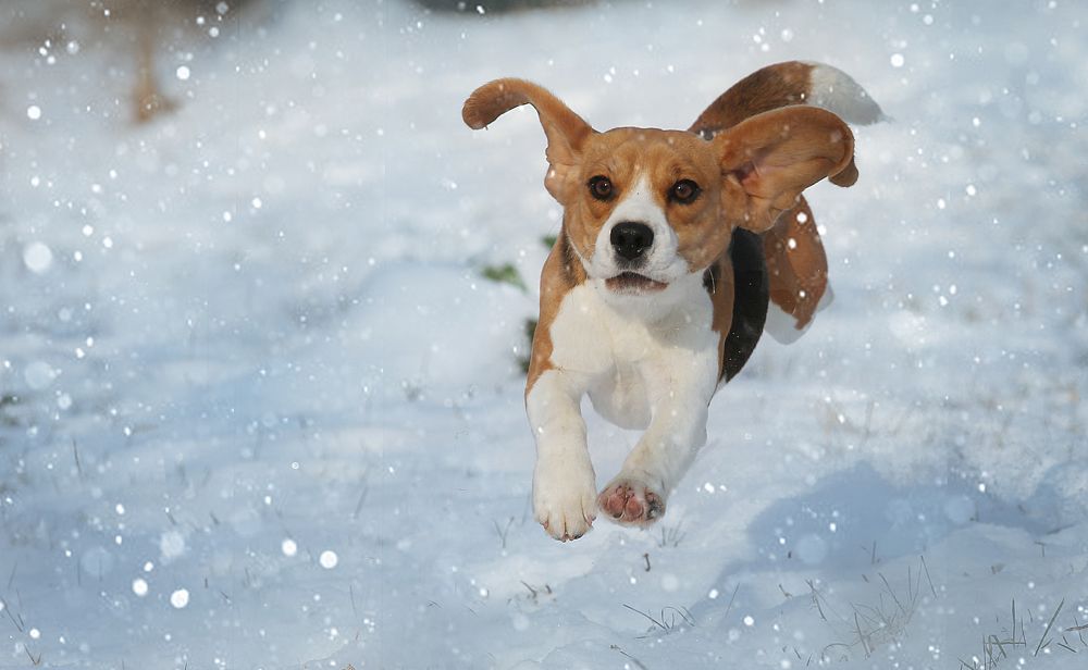 Фотография автора Katerina Mumzhinskaya