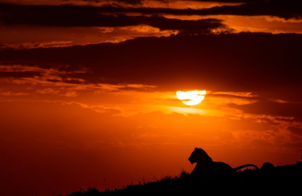Фотография автора Hari Govindarajulu