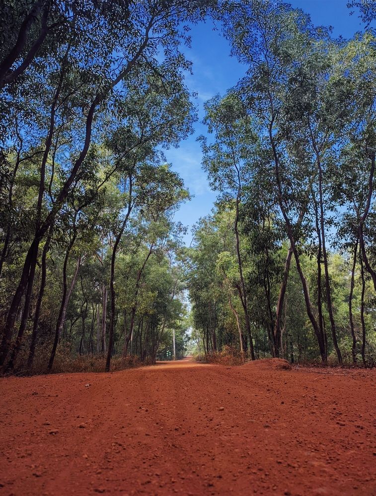 Photograph by Susmita Ghosh