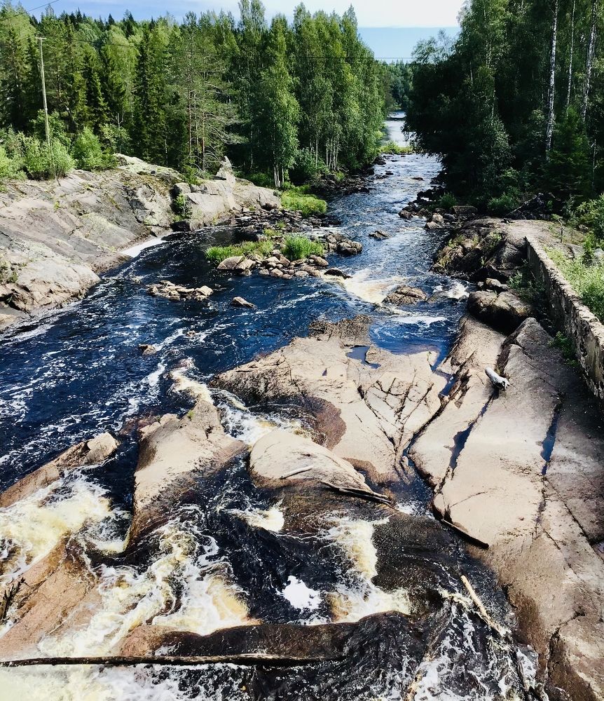 Photo #7371764