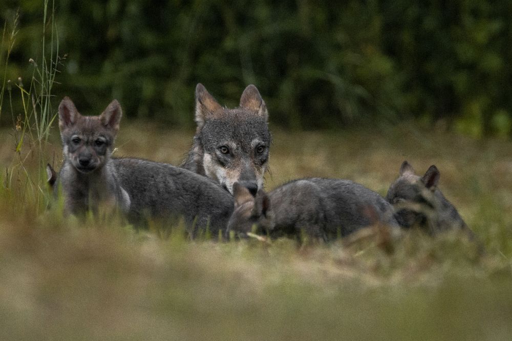 Photograph by Adrian Czech