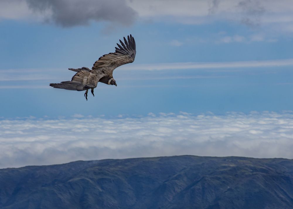 Photograph by Sandra Arena