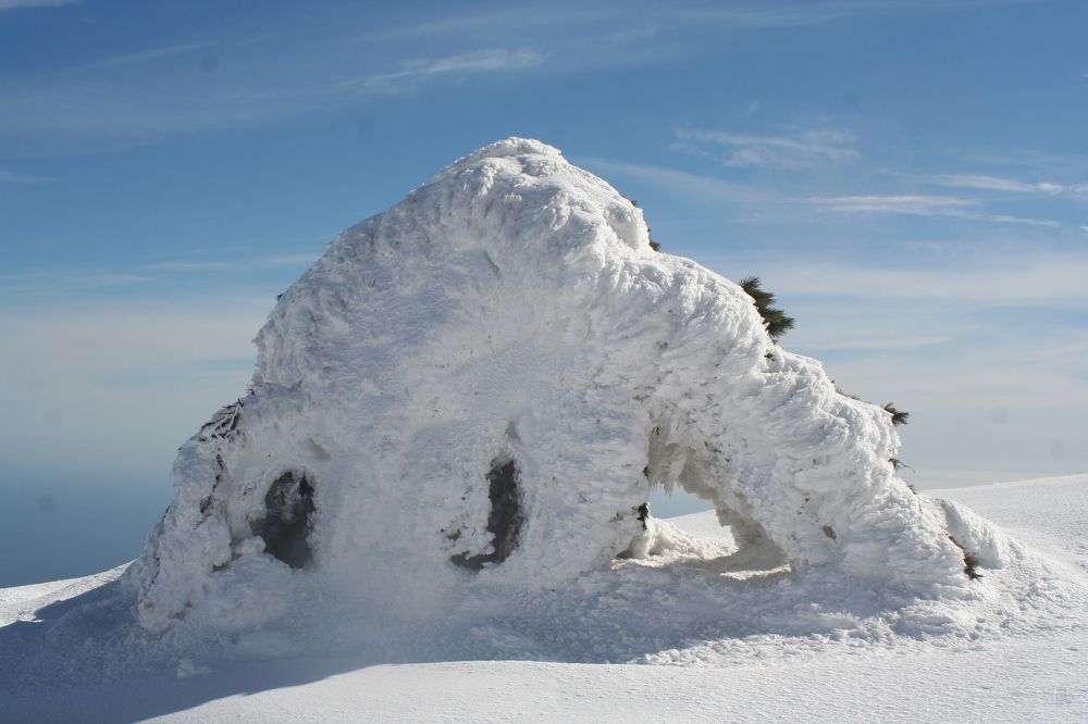 Photograph by roman kojevnikov