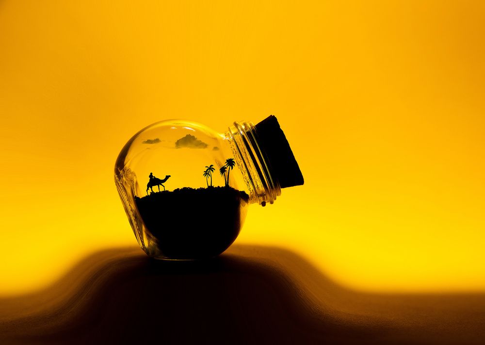 Photograph by 