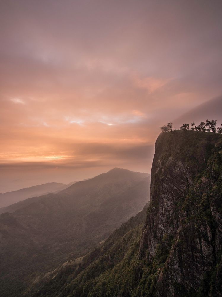 Photograph by kapila jayawardana