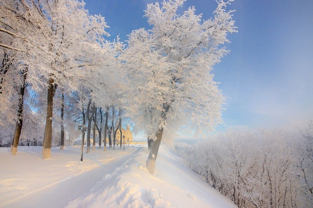 Photograph by Владимир Федин