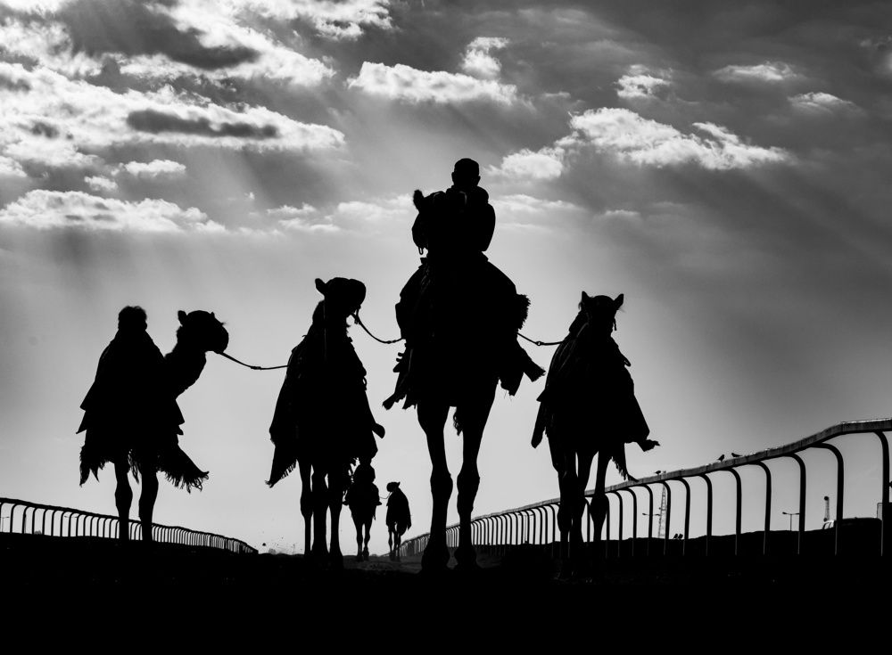 Photograph by Abhilash Thamattoor