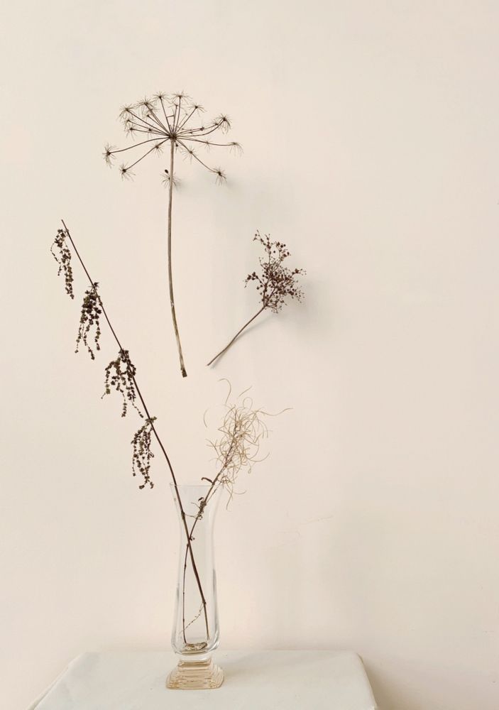 Photograph by Логинова Наталия
