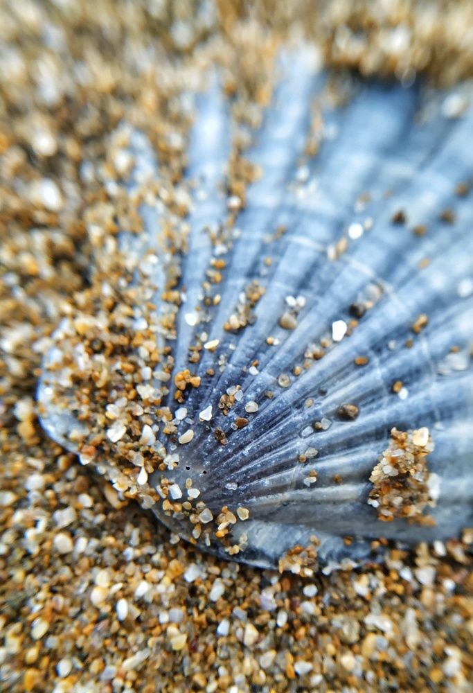 Photograph by Марина Юрина