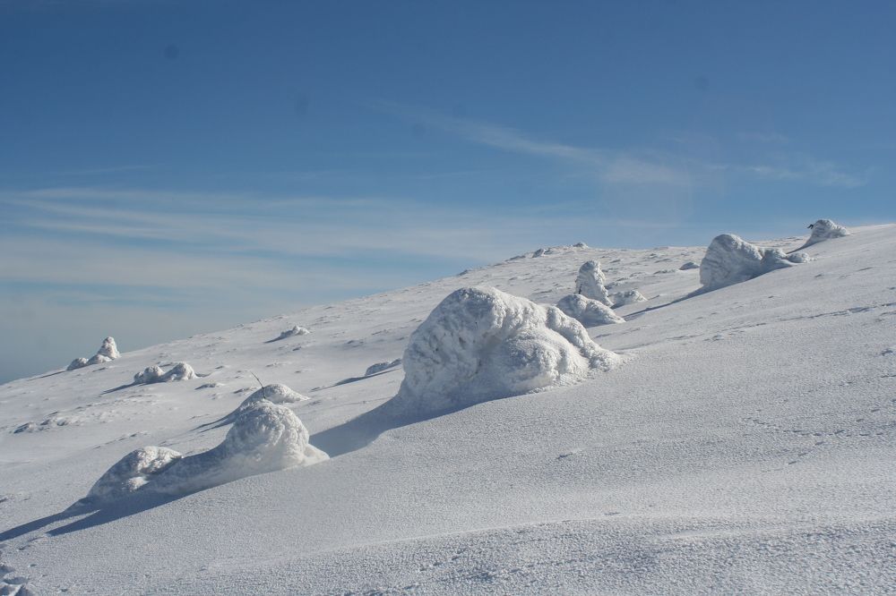 Photograph by roman kojevnikov