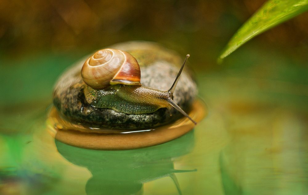 Photograph by Виктория Уварова