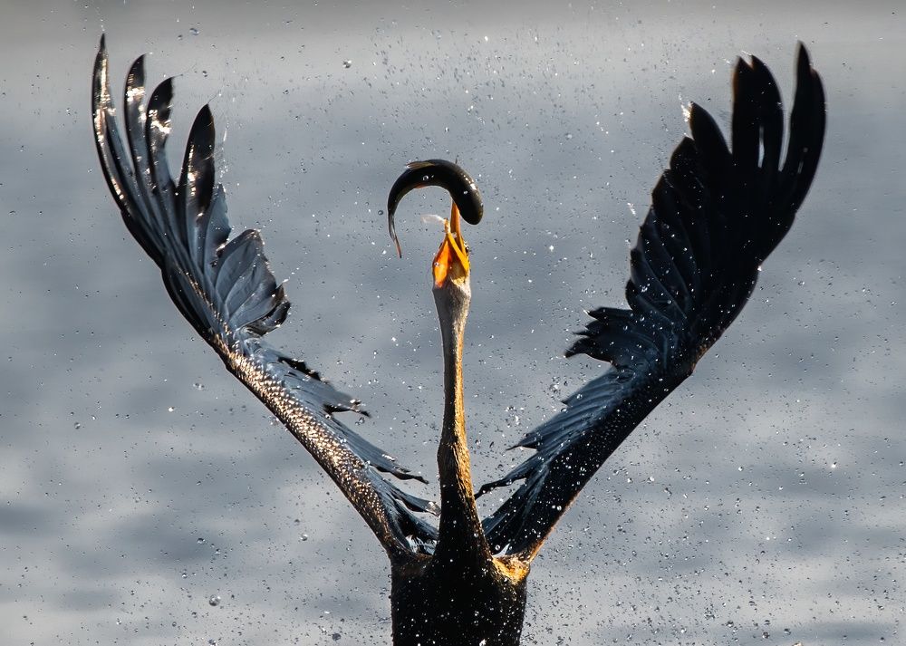 Photograph by Saurav Jha