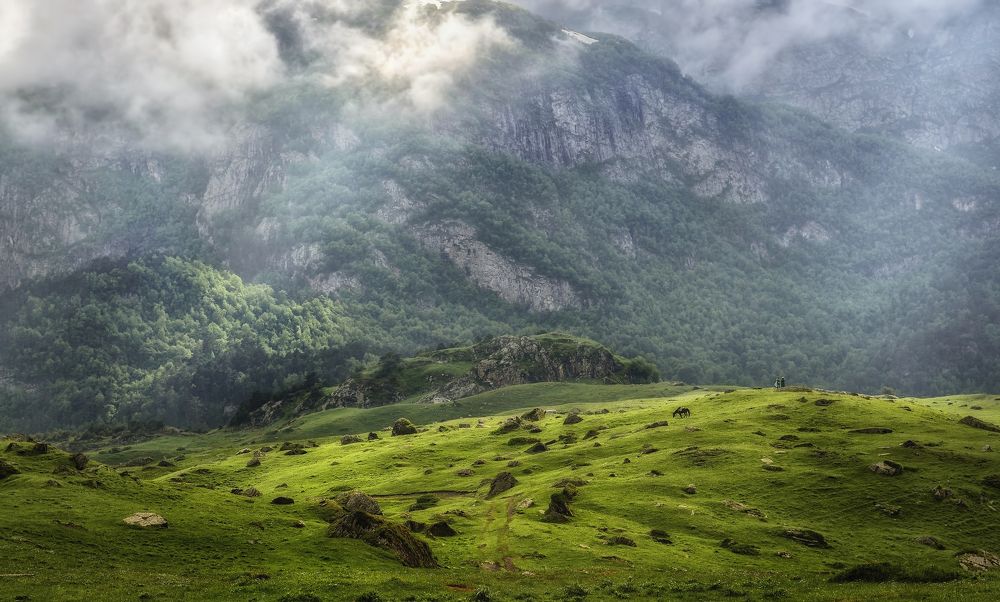 Photograph by Геннадий Чеботарев