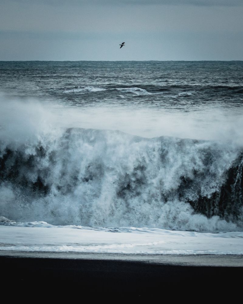 Фотография автора Bogdan Barbulescu