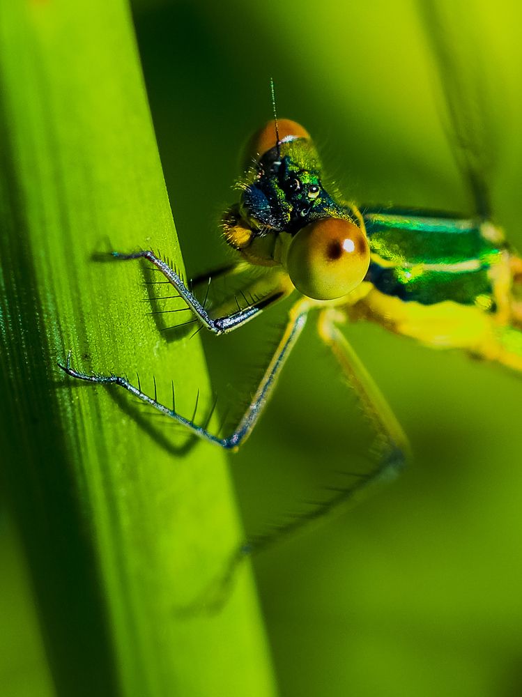 Photograph by Маргарита Смоленская