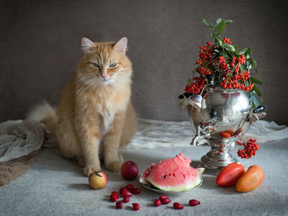 Сам насобирал.