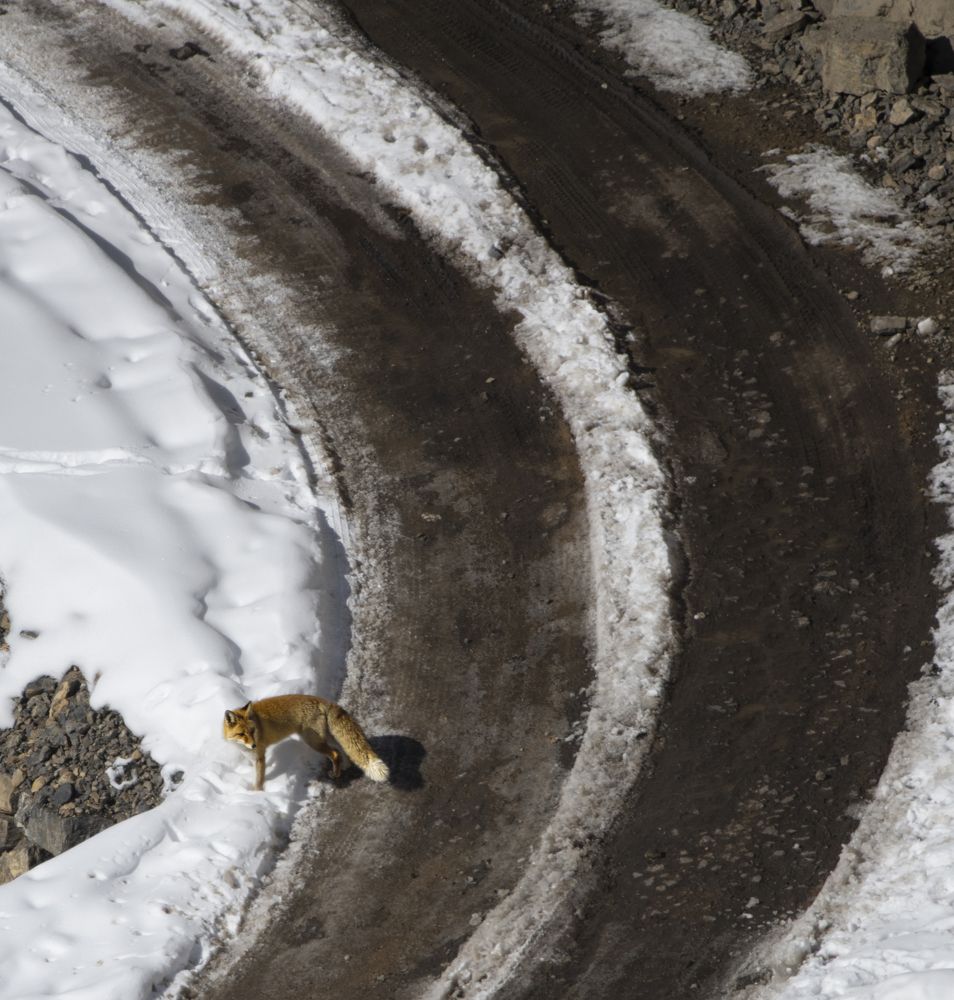 Photograph by Saurav Jha