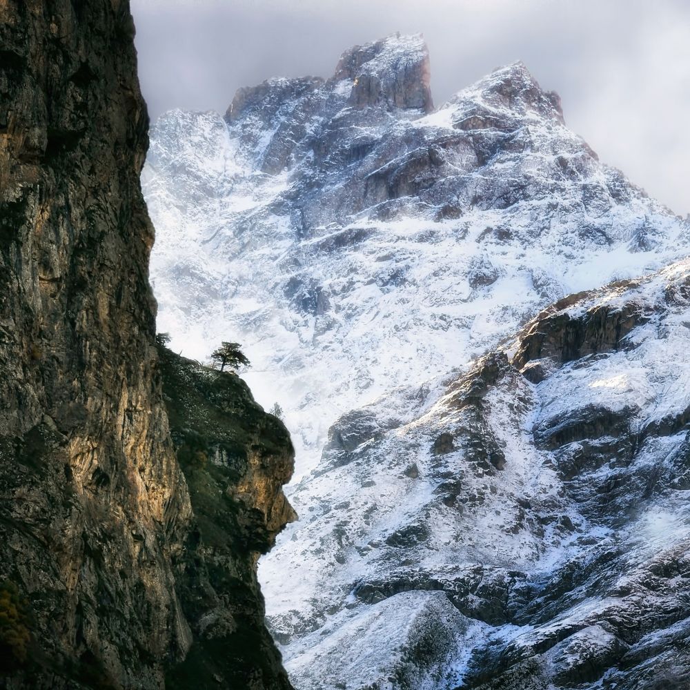 Photograph by Геннадий Чеботарев