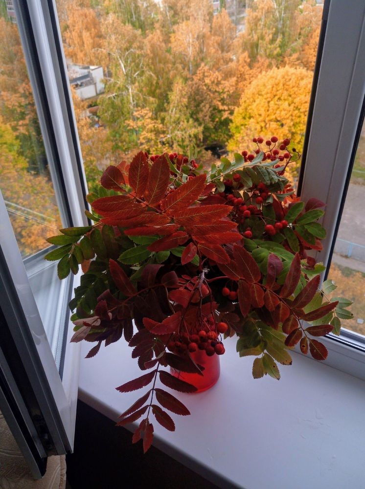 Photograph by Ирина Ерохина