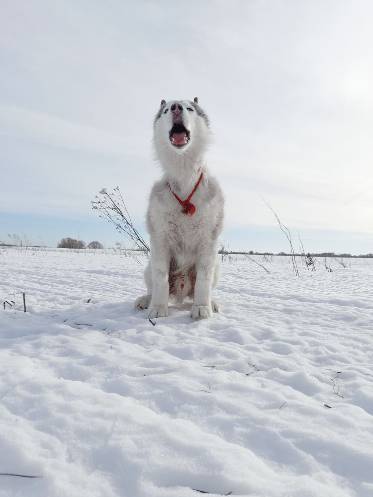 Фотография автора Мария Яропольская