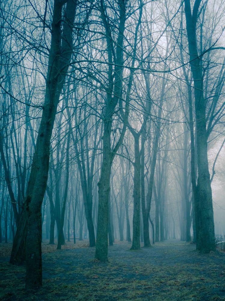 Photograph by Алексей Крукович