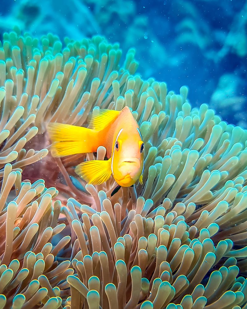 Photograph by Илья Труханов