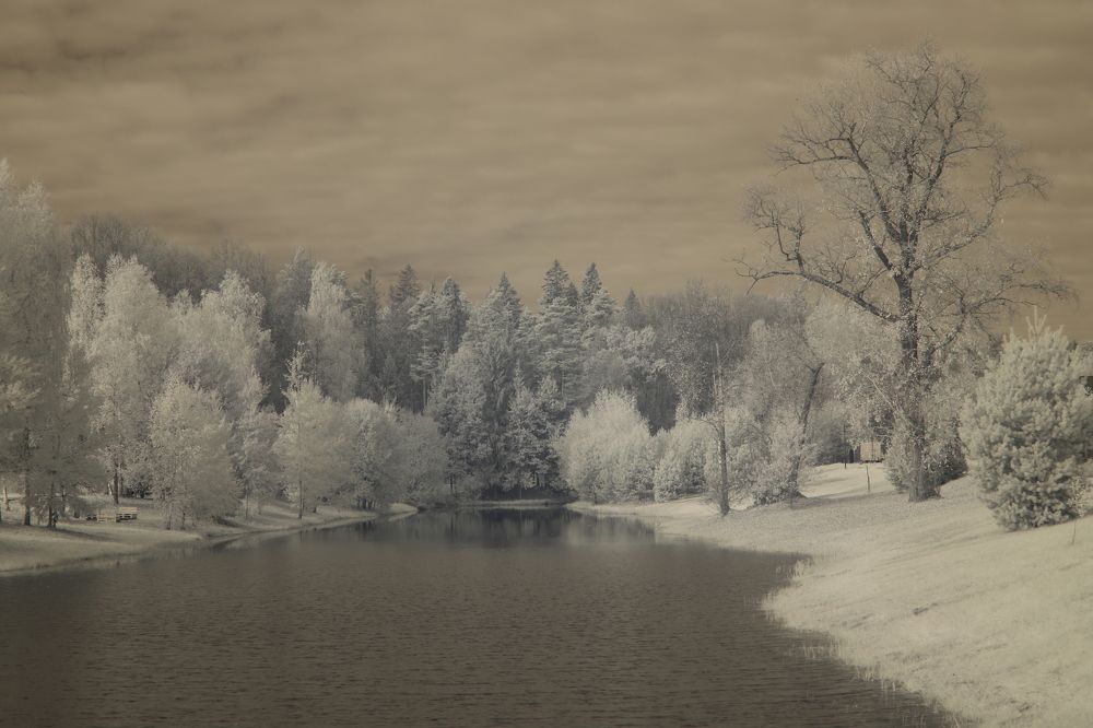 Photograph by Илья Пономарев