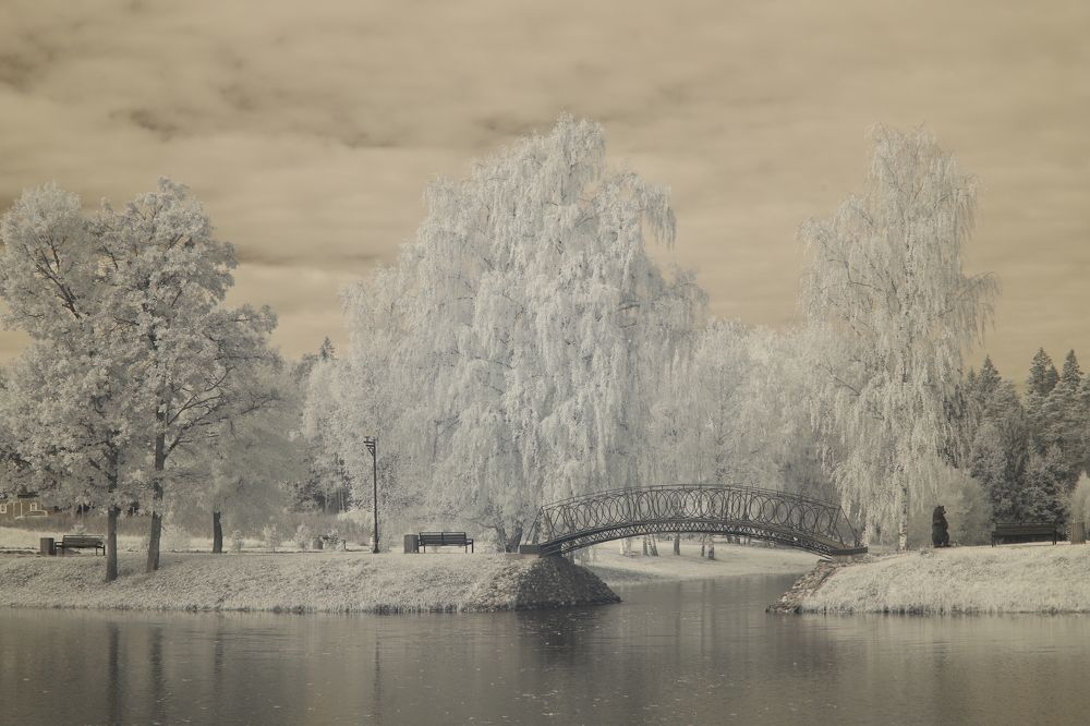 Photograph by Илья Пономарев