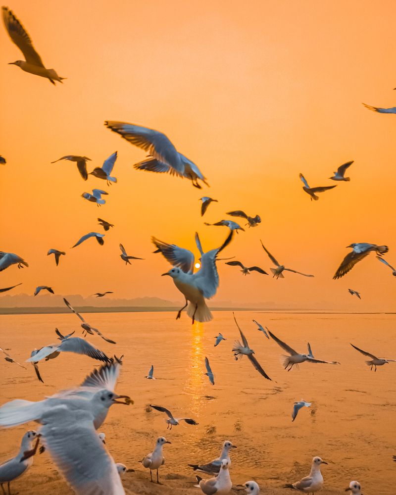 Photograph by Akash Pratap Singh