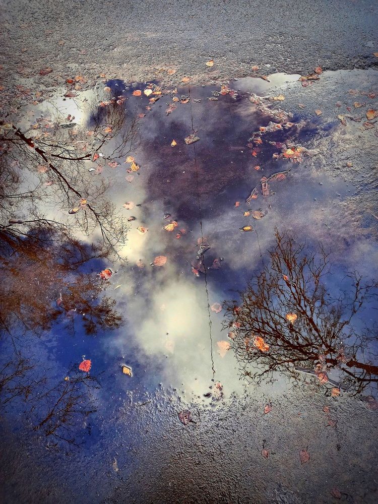 Photograph by Екатерина