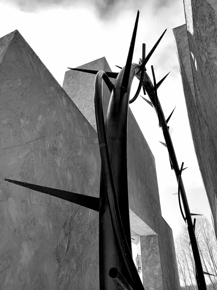 Photograph by Екатерина