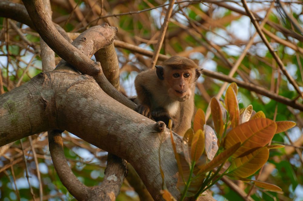 Photograph by Олег Сальников