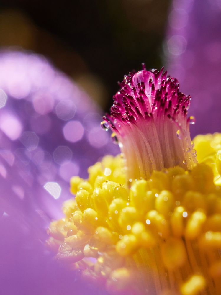 Photograph by Сергей Калёв