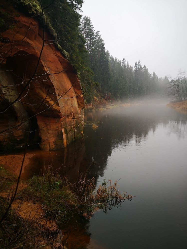 Photograph by Alla Roslova