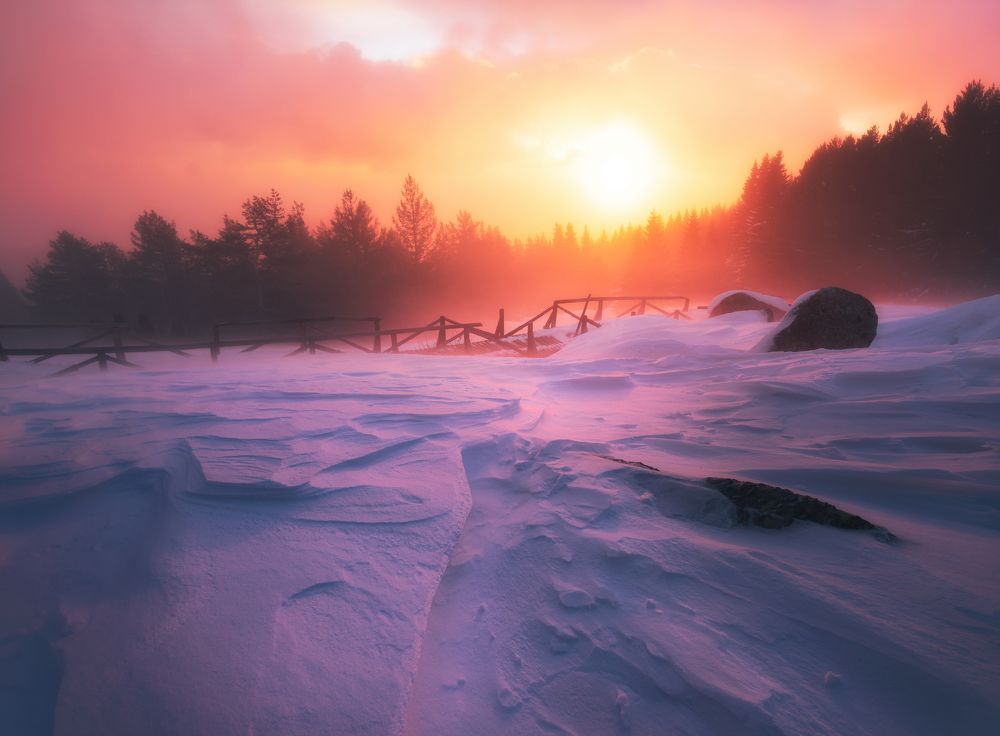 Photograph by DavidKirilov