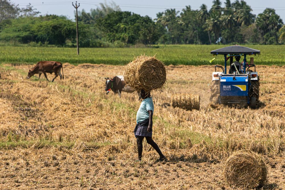 Photograph by Sam Moses