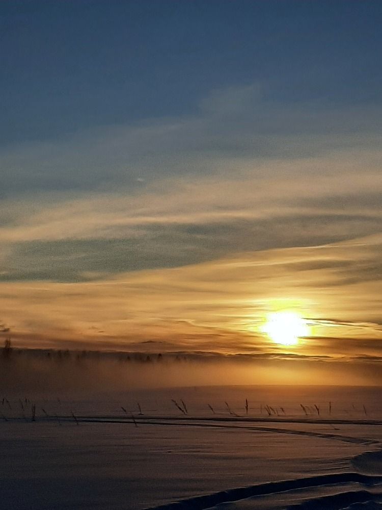 Photograph by Оксана Давыдова