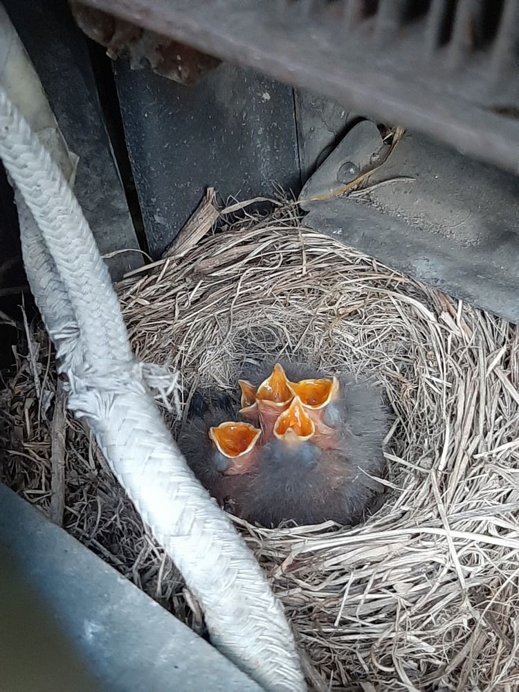 Photograph by Оксана Давыдова