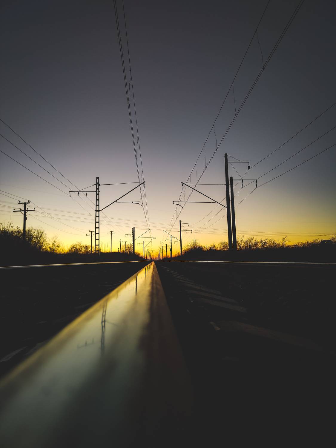 Photo #7372555