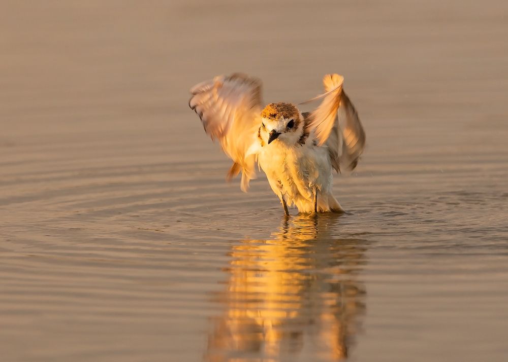 Photograph by Александр Ильин