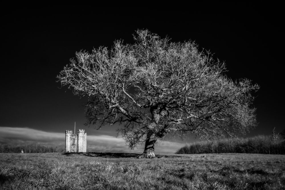 Photograph by Sergejs Barkans