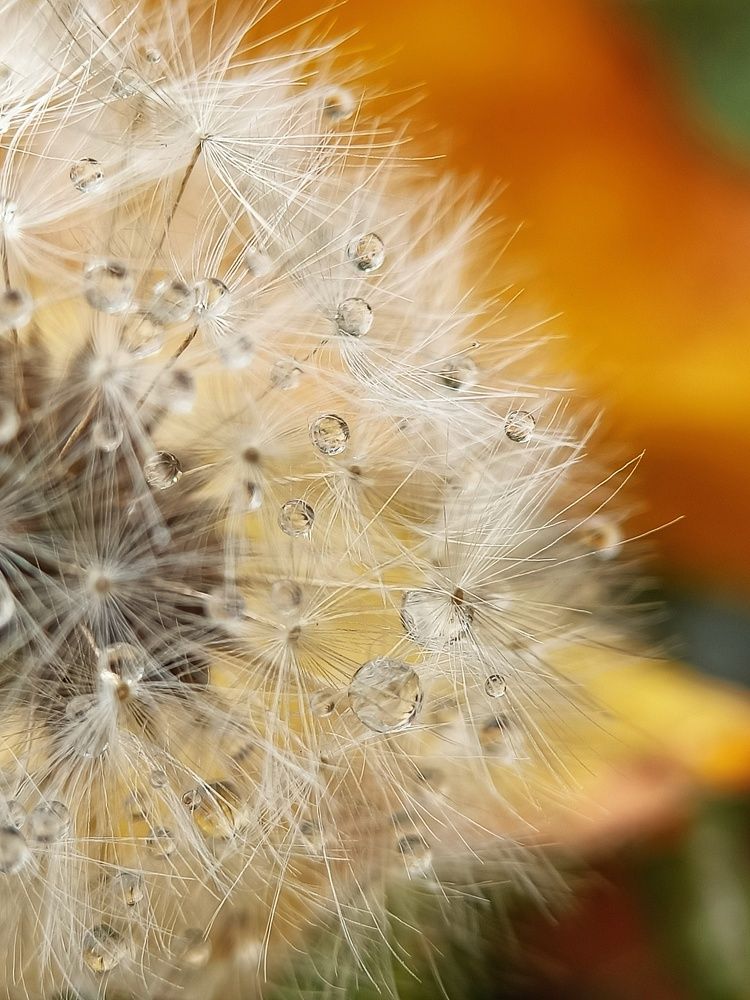 Photograph by Роман Красношапка