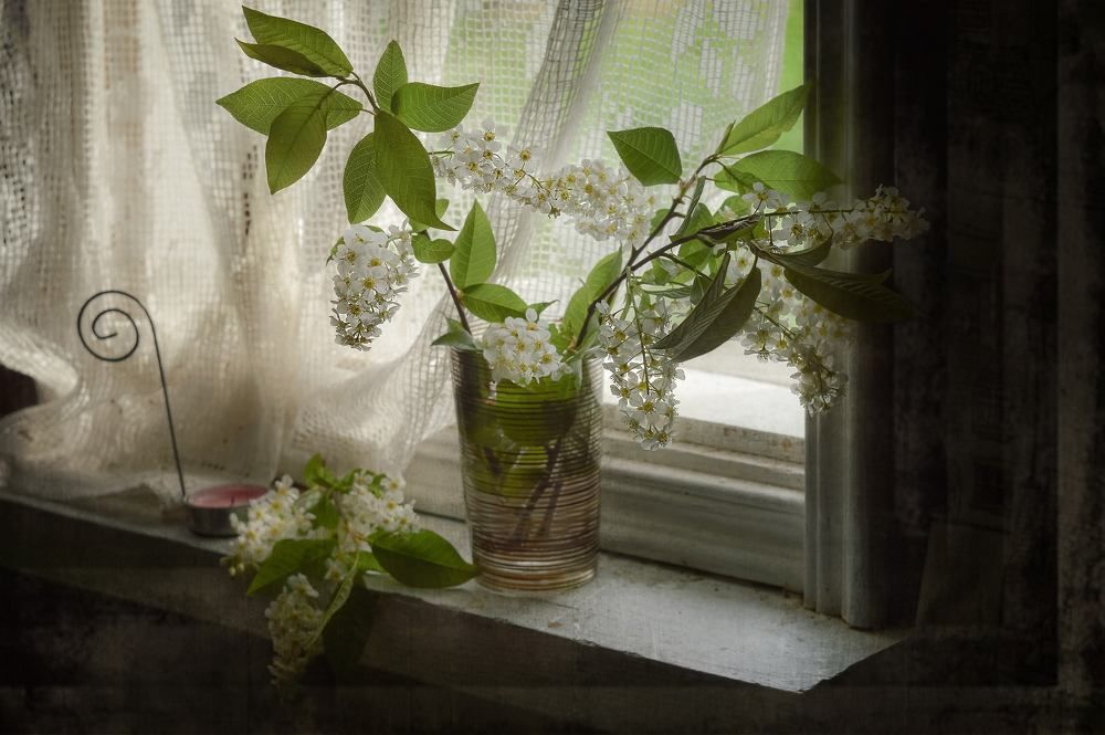 Photograph by Светлана Лехмус