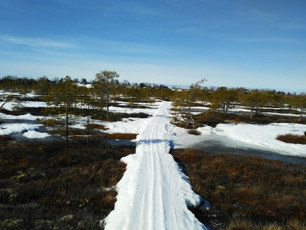 Photo #7372721