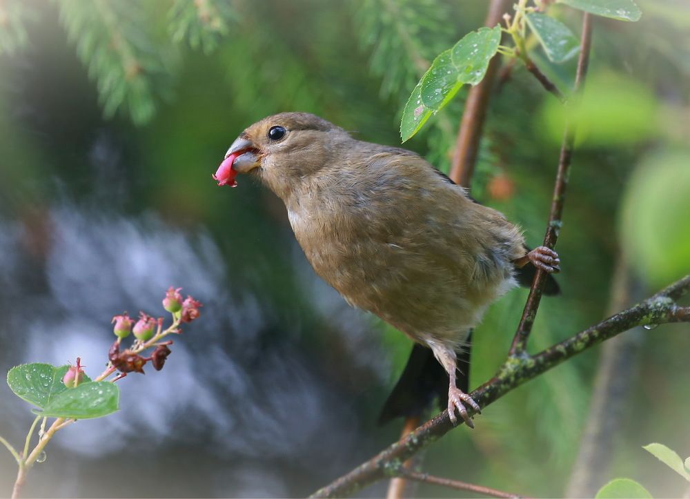 Photograph by Андрей Брагин
