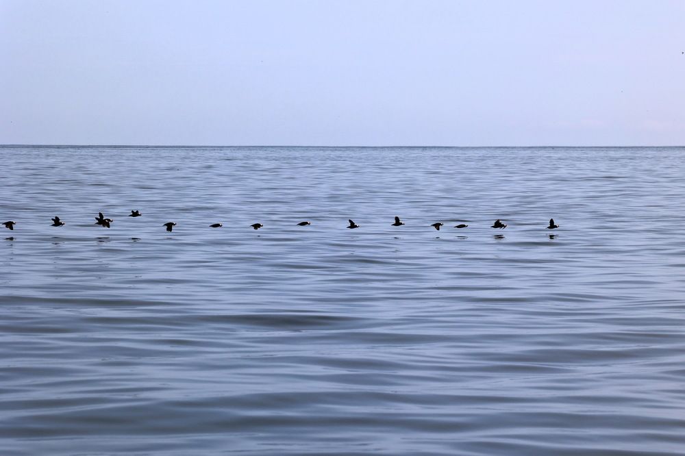 Photograph by Илья Пономарев