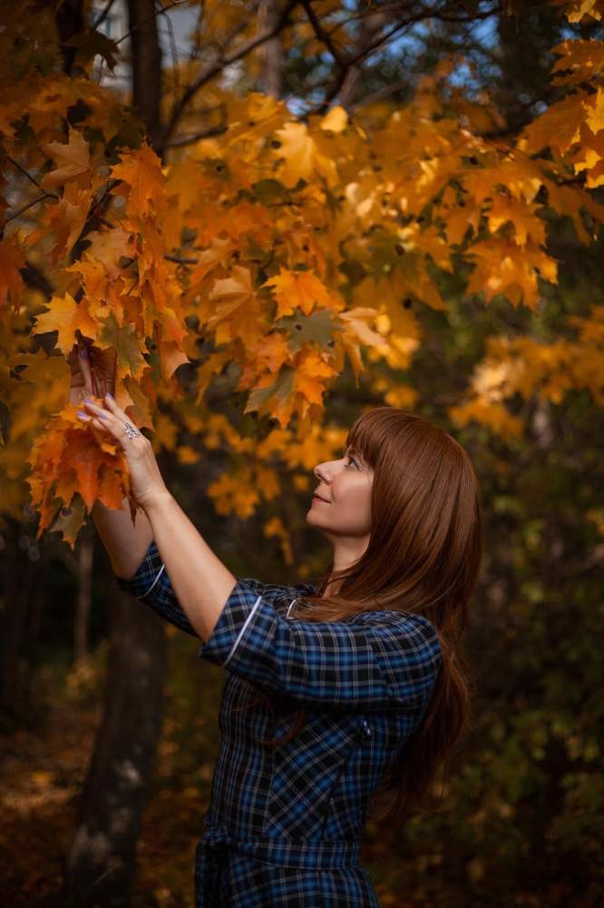 Красивая осень