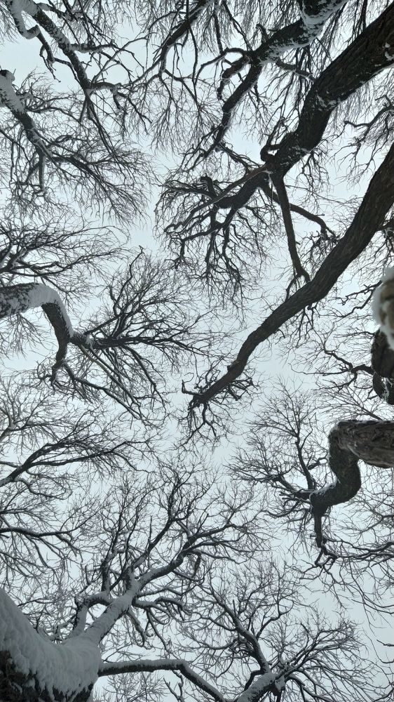 Photograph by Игорь Улитин